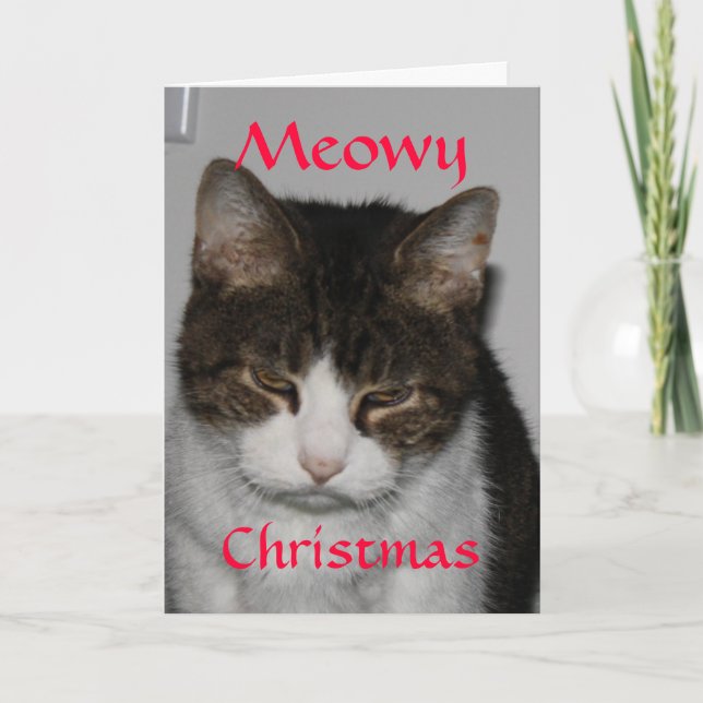 Noël de Meowy - carte de voeux des vacances du (Devant)
