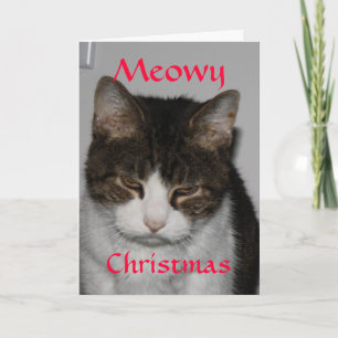 Noël de Meowy - carte de voeux des vacances du