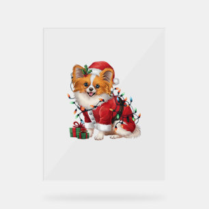 Noël de Noël Éclairage Père Noël Papillon Chien