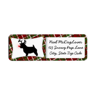 Noël de Norwich Terrier