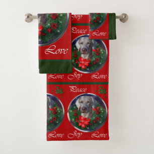 Noël de Weimaraner