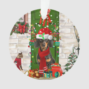 Noël du chien Dachshund