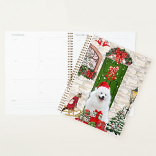 Noël du Chien de Spitz