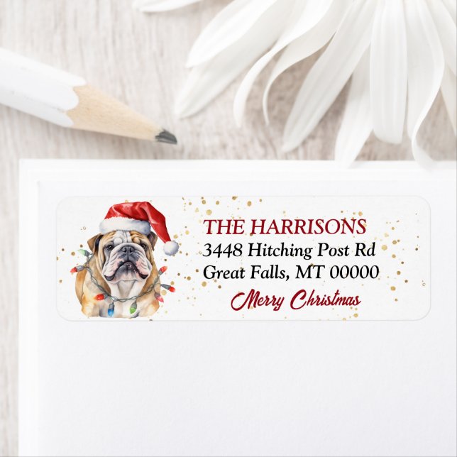 Noël du chien de taureau de Santa Hat (En situation)