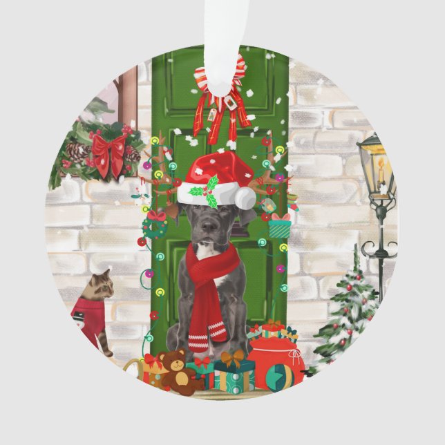 Noël du grand chien Danois (devant)