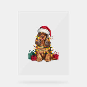 Noël Éclairage Santa Chapeau Cocker Spaniel Chien