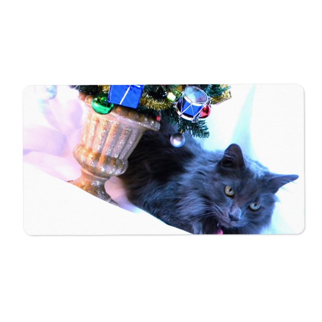 Noël gris (Devant)