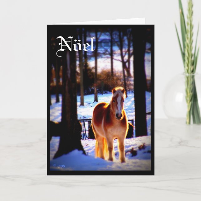 Nöel Holiday Card (Front)