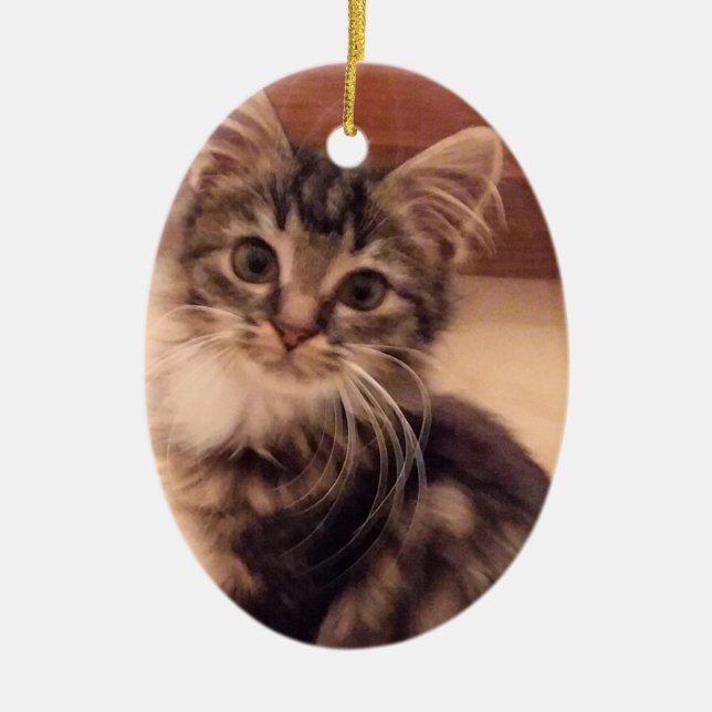 Noël Kitten Ornement Arbre Chat Kitty Vacances (Devant)