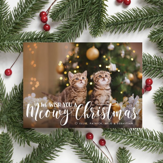 Noël Meowy | Carte complète de vacances pour anima (Créateur téléchargé)