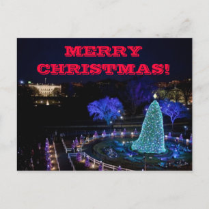 Noël Nat'l Tree - Carte postale