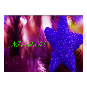Noël Navidad Blue Star I
