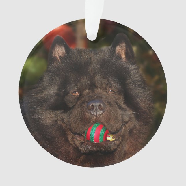 Noël noir de chien de bouffe (devant)