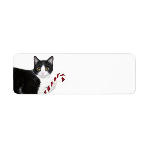Noël noir et blanc de chat