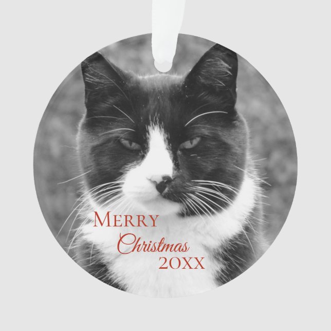 Noël noir et blanc de chat (devant)