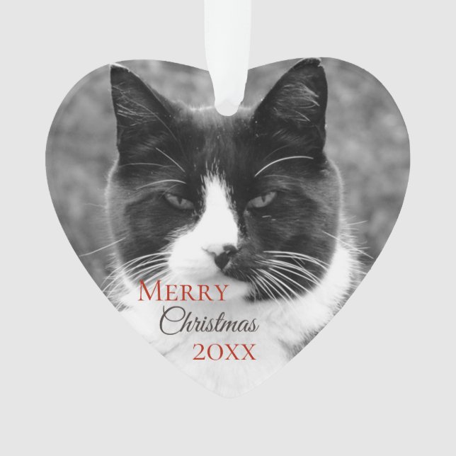 Noël noir et blanc de chat (devant)