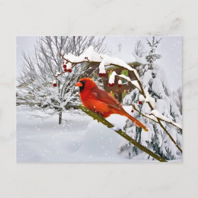 Noël, Oiseau cardinal, Neige, Carte postale (Devant)