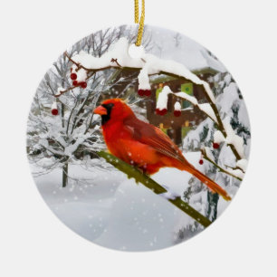 Noël, oiseau cardinal, neige, ornement