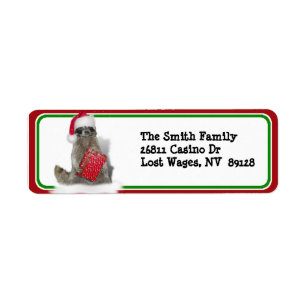 Noël Père Noël Raccoon Bandit