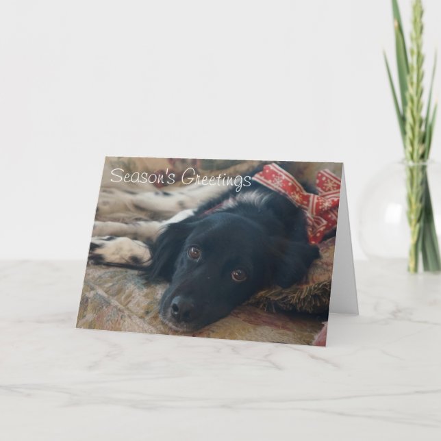 Noël personnalisable de carte pour notes de (Devant)