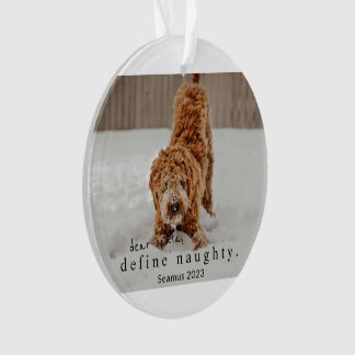 Noël Photo Animal Ornament - définir vilain