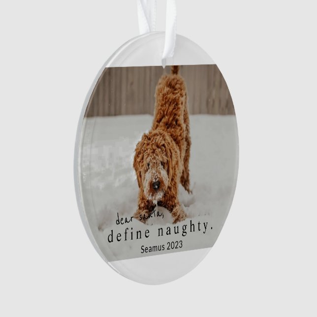 Noël Photo Animal Ornament - définir vilain (devant)