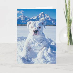 Noël Pitbull Chien Snowman