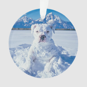 Noël Pitbull Chien Snowman