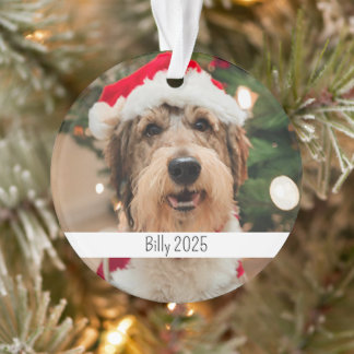 Noël pour chien personnalisé double face