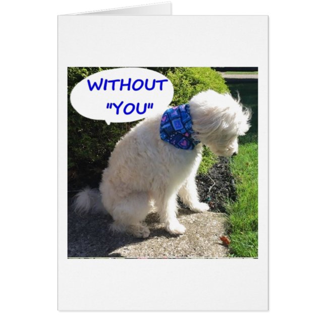 NOËL SERA ROUGE & VERT & *BLEU SANS VOUS* (Devant)