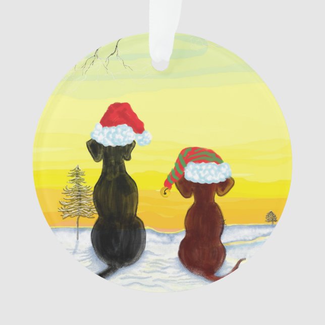 Noël springador (devant)