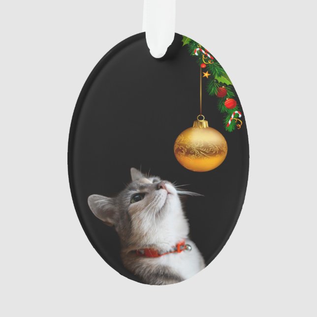 Noël tenté de chat de minou (dos)
