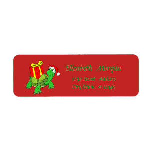 Noël ,Tortue de dessin animé,Chapeau de Père Noël,