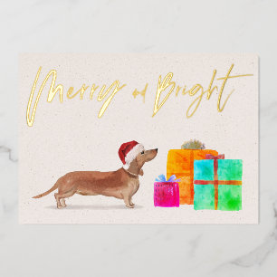Noël Vacances Gold Tan Dachshund Chien Photo