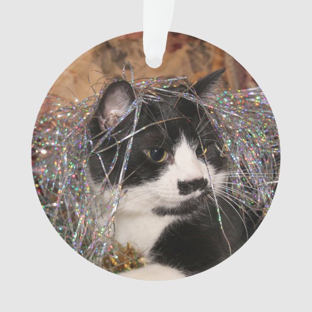 Noël vilain de minou de smoking (devant)