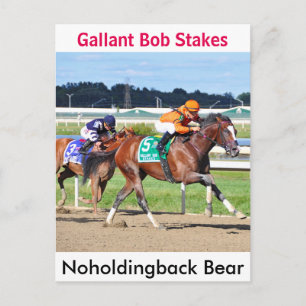 Noholdingback Bear - Gallant Bob Stakes Postcard
