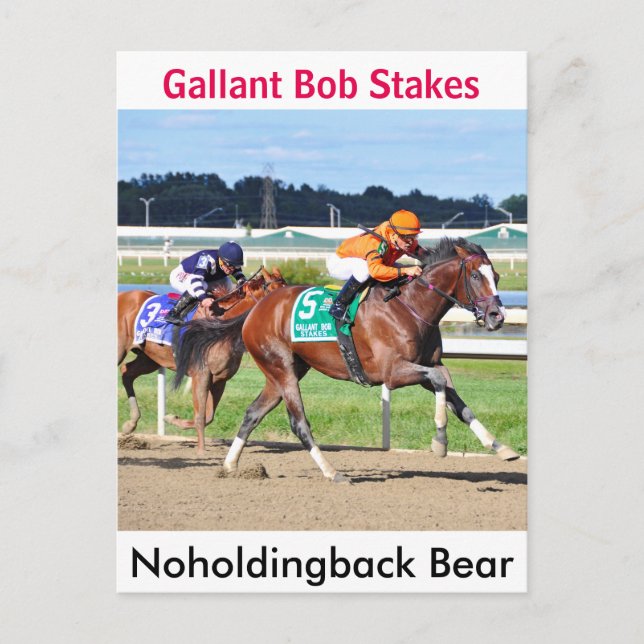 Noholdingback Bear - Gallant Bob Stakes Postcard (Front)
