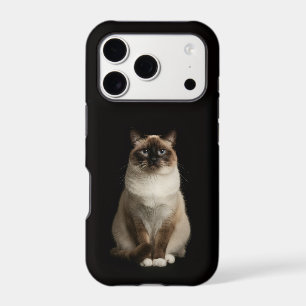 Noir 4 Luxe iPhone 17 Pro, Chat Birman
