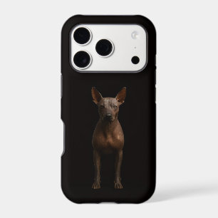 Noir 4 Luxe iPhone 17 Pro, Chien Pila d'Argentine