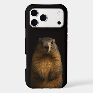 Noir 4 Luxe iPhone 17 Pro Max, Marmotte Douillette