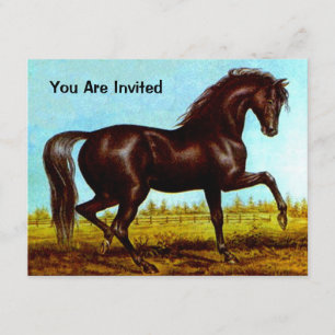 NOIR BEAUTY HORSE ANNIVERSAIRE INVITATION
