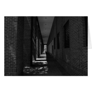 Noir City