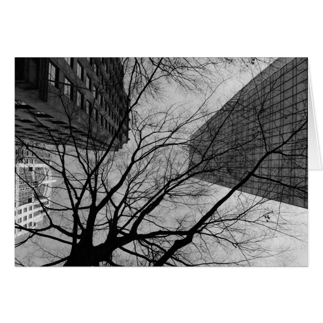 Noir City (Front Horizontal)