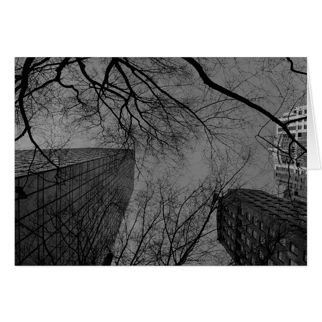Noir City (Front Horizontal)