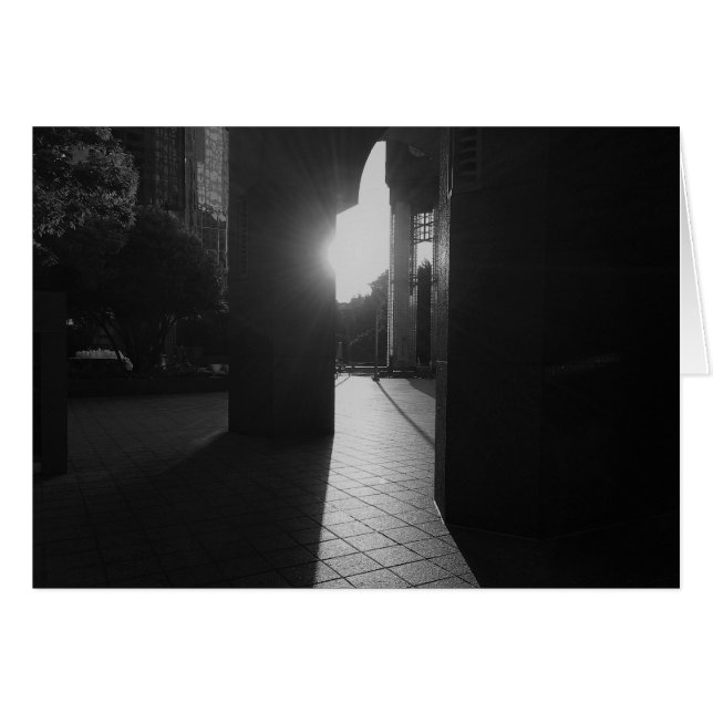 Noir City (Front Horizontal)