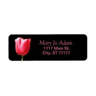 Noir simple de rose de tulipe