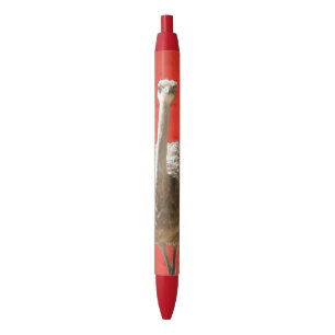 Noir Stylo d'autruche sud-africain