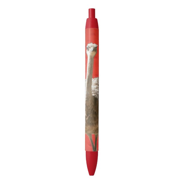 Noir Stylo d'autruche sud-africain (devant Vertical)