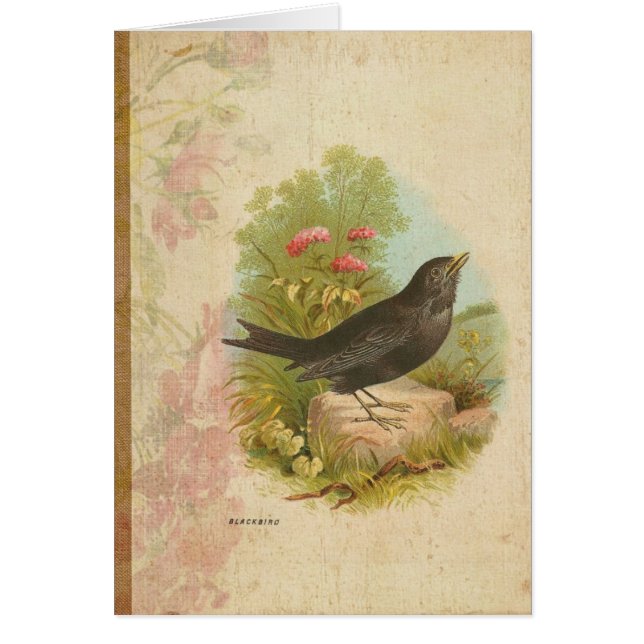 Noir vintage (Devant)