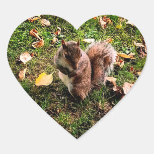 Noisy Squirrel Heart Sticker